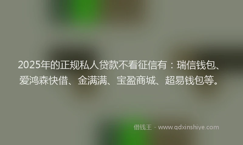 2025年的正规私人贷款不看征信有：瑞信钱包、爱鸿森快借、金满满、宝盈商城、超易钱包等。
