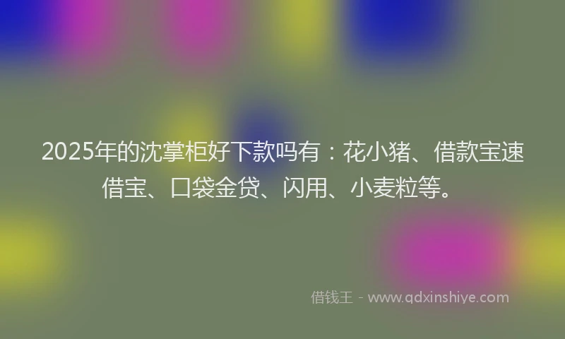 2025年的沈掌柜好下款吗有：花小猪、借款宝速借宝、口袋金贷、闪用、小麦粒等。