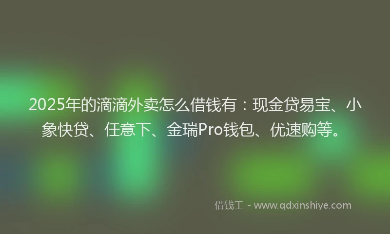 2025年的滴滴外卖怎么借钱有：现金贷易宝、小象快贷、任意下、金瑞Pro钱包、优速购等。