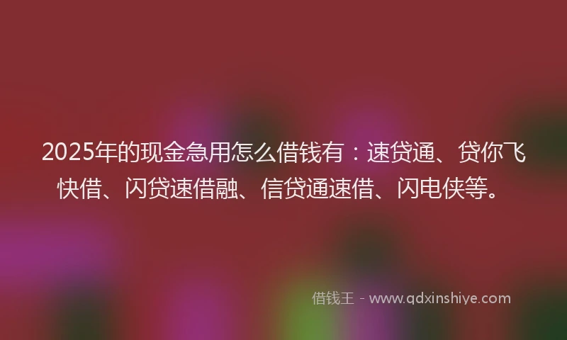 2025年的现金急用怎么借钱有：速贷通、贷你飞快借、闪贷速借融、信贷通速借、闪电侠等。