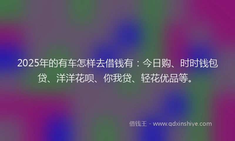 2025年的有车怎样去借钱有：今日购、时时钱包贷、洋洋花呗、你我贷、轻花优品等。
