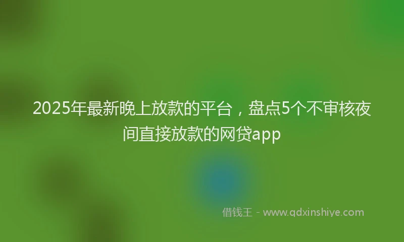 2025年最新晚上放款的平台，盘点5个不审核夜间直接放款的网贷app