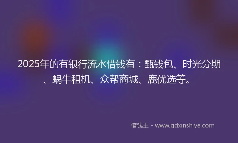 2025年的有银行流水借钱有：甄钱包、时光分期、蜗牛租机、众帮商城、鹿优选等。