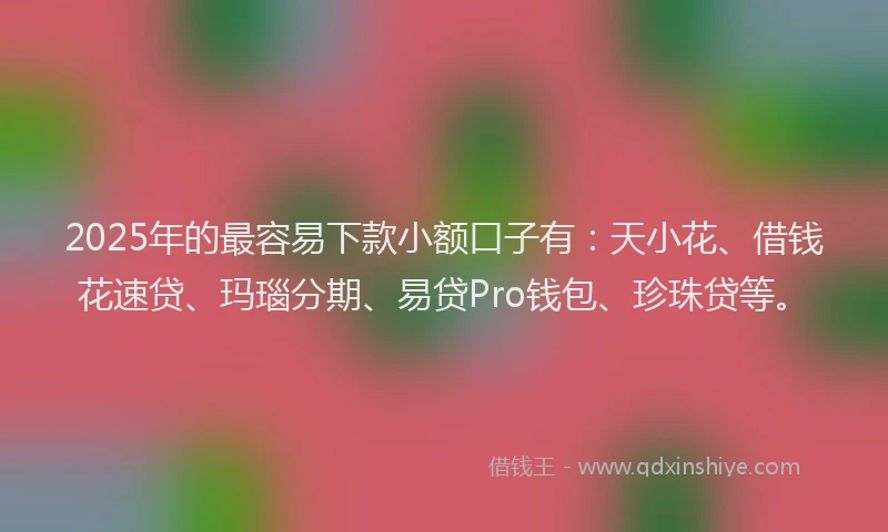 2025年的最容易下款小额口子有：天小花、借钱花速贷、玛瑙分期、易贷Pro钱包、珍珠贷等。