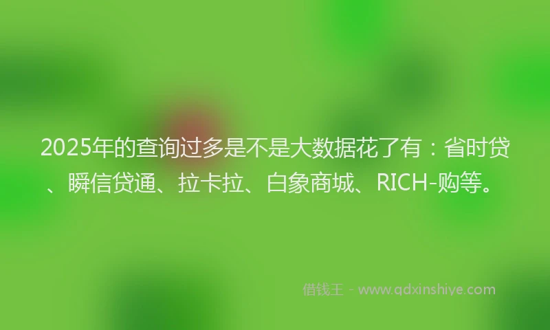 2025年的查询过多是不是大数据花了有：省时贷、瞬信贷通、拉卡拉、白象商城、RICH-购等。