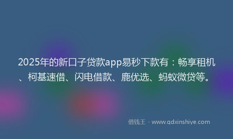 2025年的新口子贷款app易秒下款有：畅享租机、柯基速借、闪电借款、鹿优选、蚂蚁微贷等。