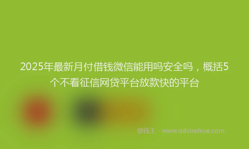 2025年最新月付借钱微信能用吗安全吗，概括5个不看征信网贷平台放款快的平台