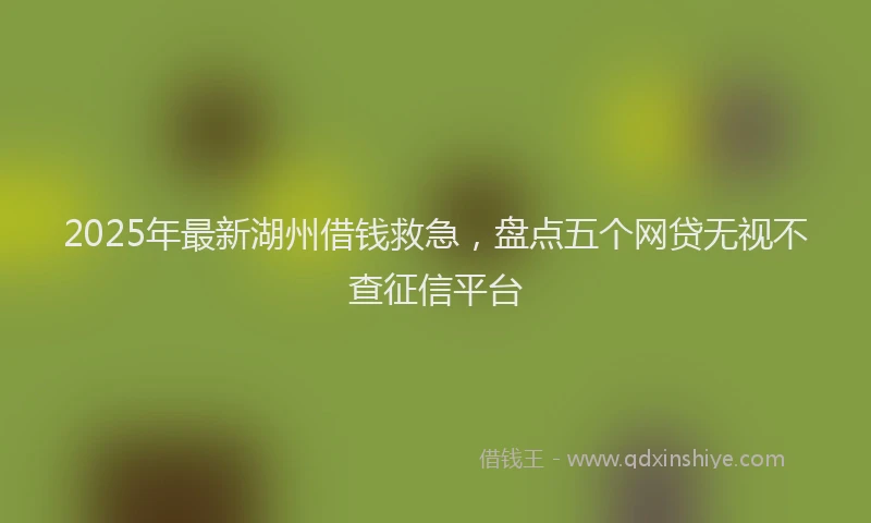 2025年最新湖州借钱救急，盘点五个网贷无视不查征信平台