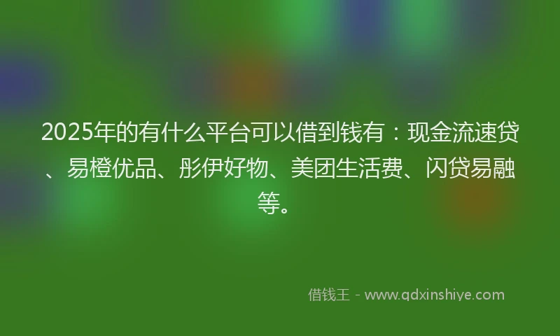 2025年的有什么平台可以借到钱有：现金流速贷、易橙优品、彤伊好物、美团生活费、闪贷易融等。