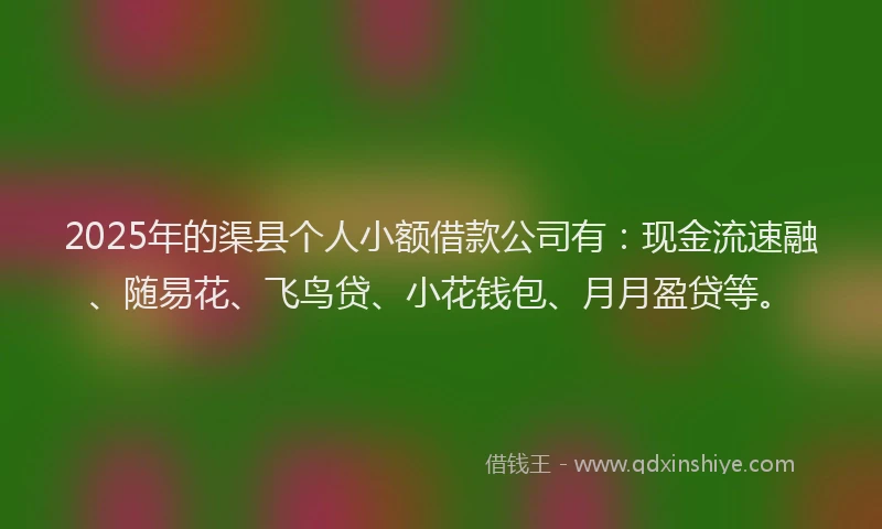 2025年的渠县个人小额借款公司有：现金流速融、随易花、飞鸟贷、小花钱包、月月盈贷等。