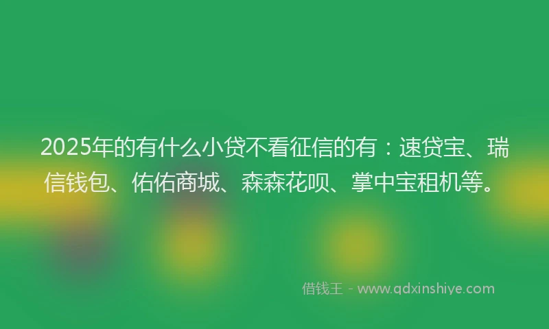 2025年的有什么小贷不看征信的有：速贷宝、瑞信钱包、佑佑商城、森森花呗、掌中宝租机等。