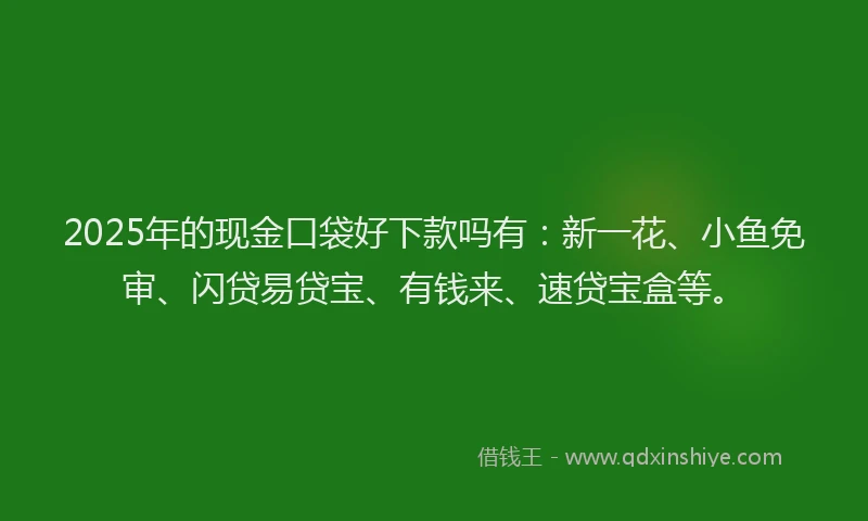 2025年的现金口袋好下款吗有：新一花、小鱼免审、闪贷易贷宝、有钱来、速贷宝盒等。