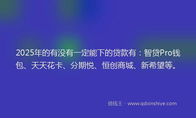 2025年的有没有一定能下的贷款有:智贷Pro钱包、天天花卡、分期悦、恒创商城、新希望等。
