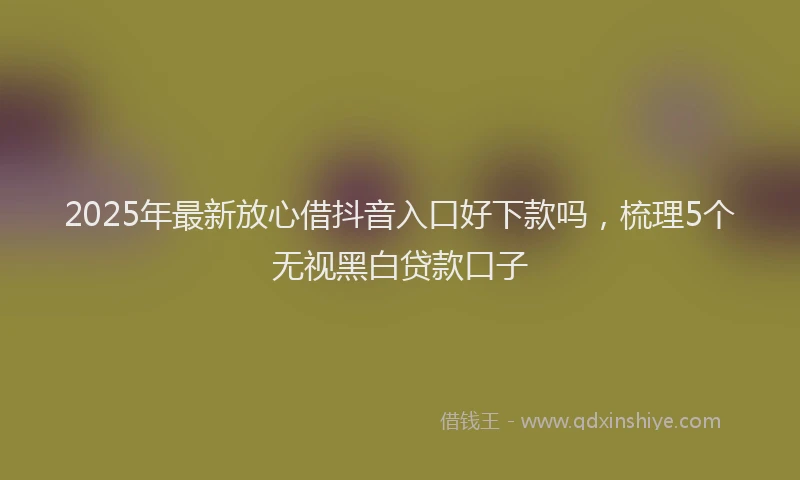 2025年最新放心借抖音入口好下款吗，梳理5个无视黑白贷款口子