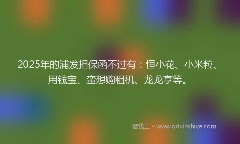 2025年的浦发担保函不过有：恒小花、小米粒、用钱宝、蛮想购租机、龙龙享等。
