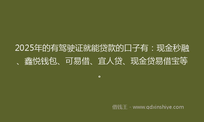 2025年的有驾驶证就能贷款的口子有：现金秒融、鑫悦钱包、可易借、宜人贷、现金贷易借宝等。