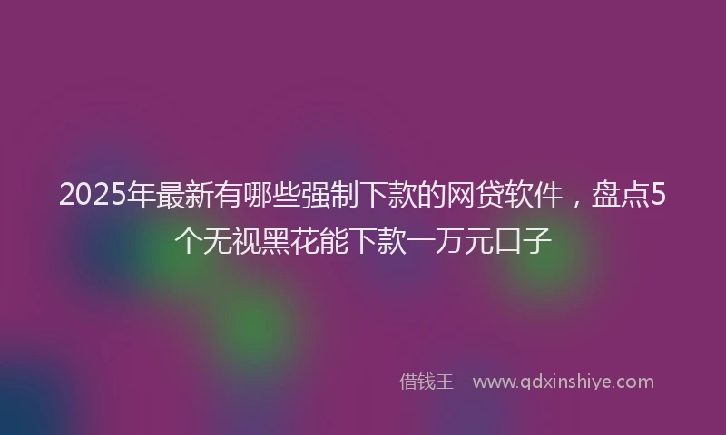 2025年最新有哪些强制下款的网贷软件，盘点5个无视黑花能下款一万元口子
