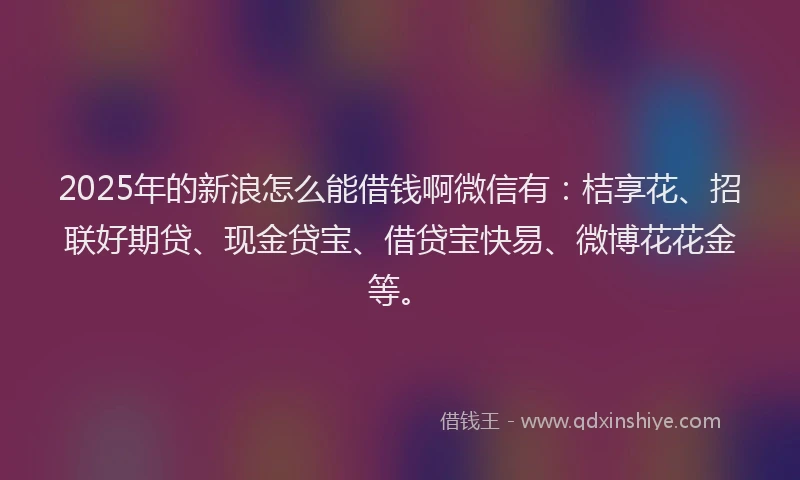2025年的新浪怎么能借钱啊微信有：桔享花、招联好期贷、现金贷宝、借贷宝快易、微博花花金等。