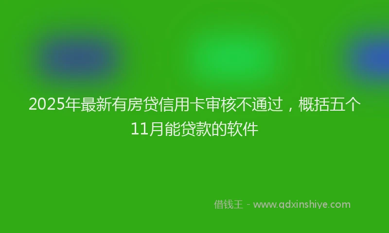 2025年最新有房贷信用卡审核不通过，概括五个11月能贷款的软件