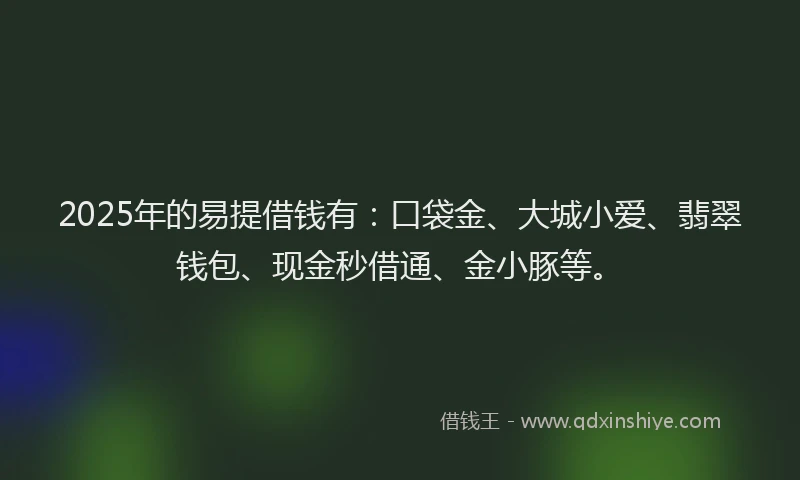 2025年的易提借钱有：口袋金、大城小爱、翡翠钱包、现金秒借通、金小豚等。