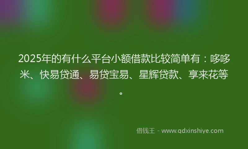 2025年的有什么平台小额借款比较简单有：哆哆米、快易贷通、易贷宝易、星辉贷款、享来花等。