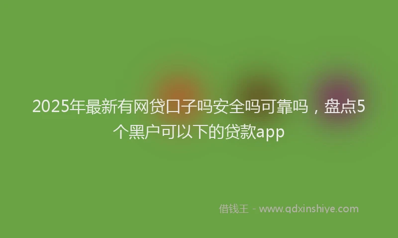 2025年最新有网贷口子吗安全吗可靠吗，盘点5个黑户可以下的贷款app