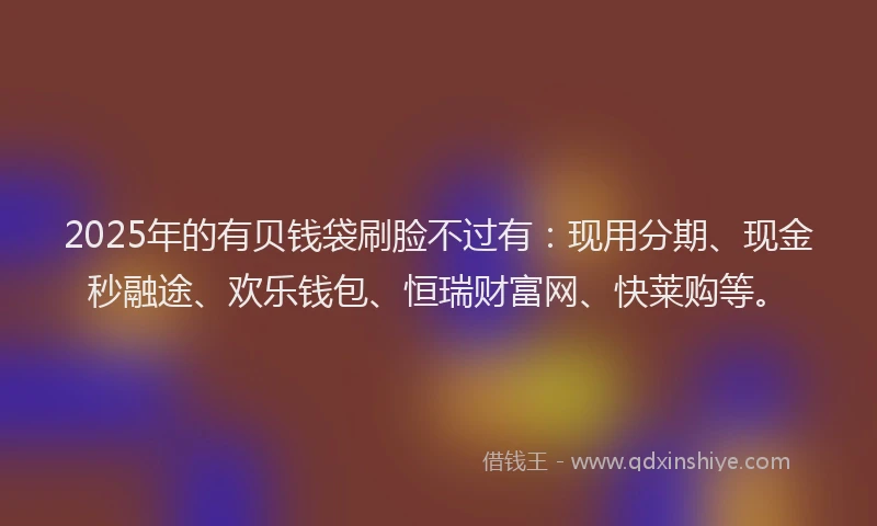 2025年的有贝钱袋刷脸不过有：现用分期、现金秒融途、欢乐钱包、恒瑞财富网、快莱购等。