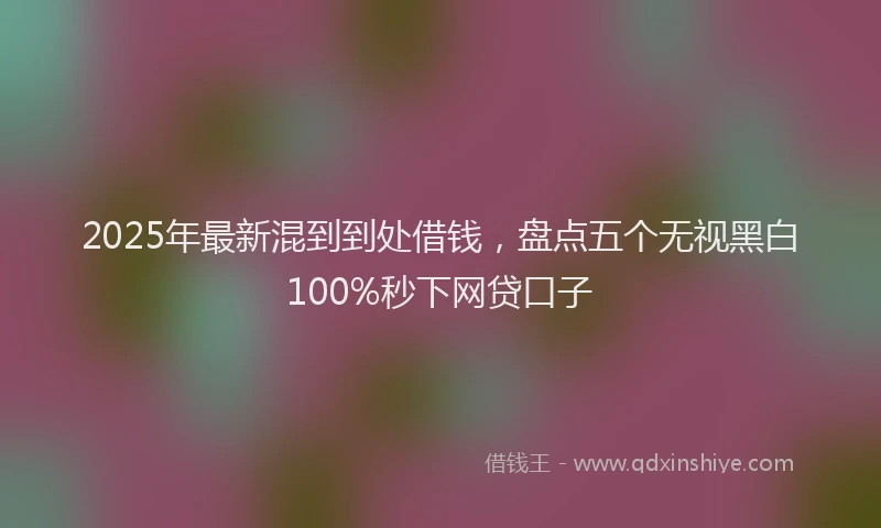 2025年最新混到到处借钱，盘点五个无视黑白100%秒下网贷口子