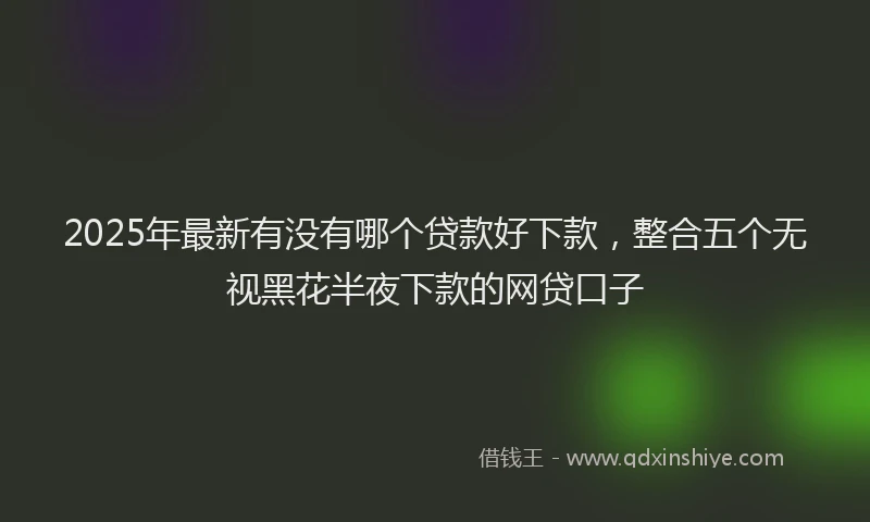 2025年最新有没有哪个贷款好下款，整合五个无视黑花半夜下款的网贷口子