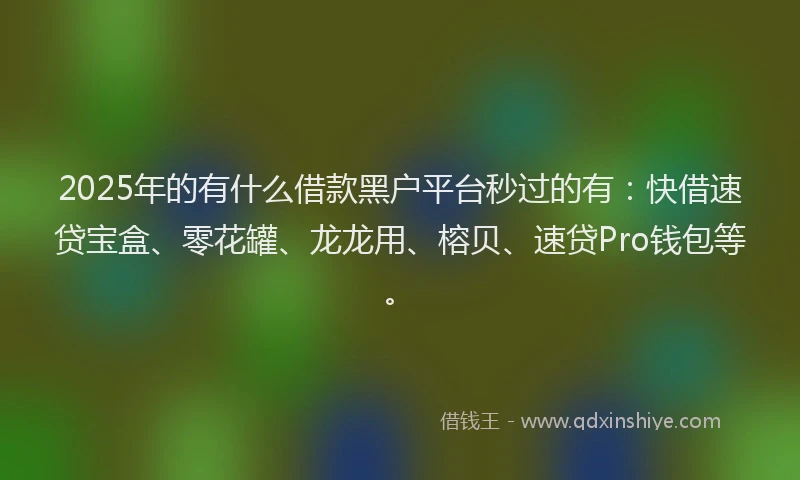 2025年的有什么借款黑户平台秒过的有：快借速贷宝盒、零花罐、龙龙用、榕贝、速贷Pro钱包等。