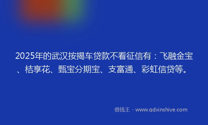 2025年的武汉按揭车贷款不看征信有：飞融金宝、桔享花、甄宝分期宝、支富通、彩虹信贷等。