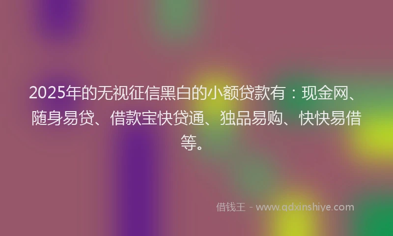2025年的无视征信黑白的小额贷款有：现金网、随身易贷、借款宝快贷通、独品易购、快快易借等。