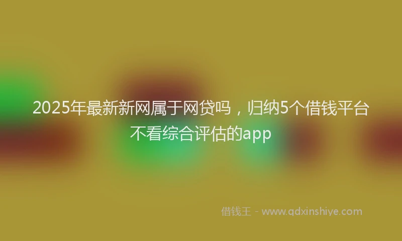 2025年最新新网属于网贷吗，归纳5个借钱平台不看综合评估的app