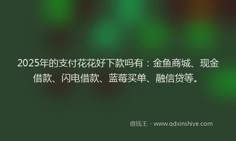 2025年的支付花花好下款吗有：金鱼商城、现金借款、闪电借款、蓝莓买单、融信贷等。