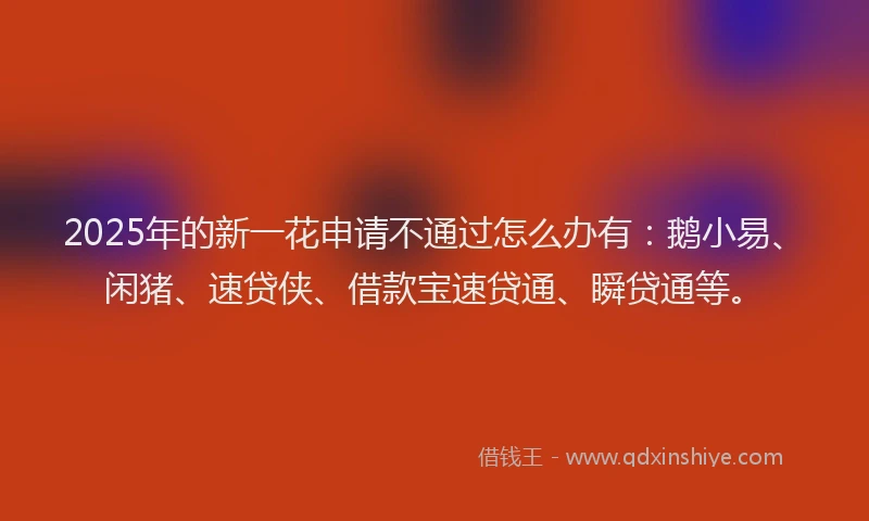 2025年的新一花申请不通过怎么办有：鹅小易、闲猪、速贷侠、借款宝速贷通、瞬贷通等。