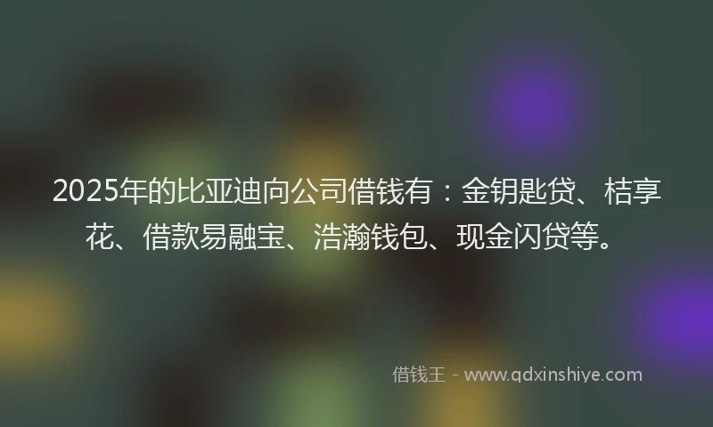 2025年的比亚迪向公司借钱有：金钥匙贷、桔享花、借款易融宝、浩瀚钱包、现金闪贷等。