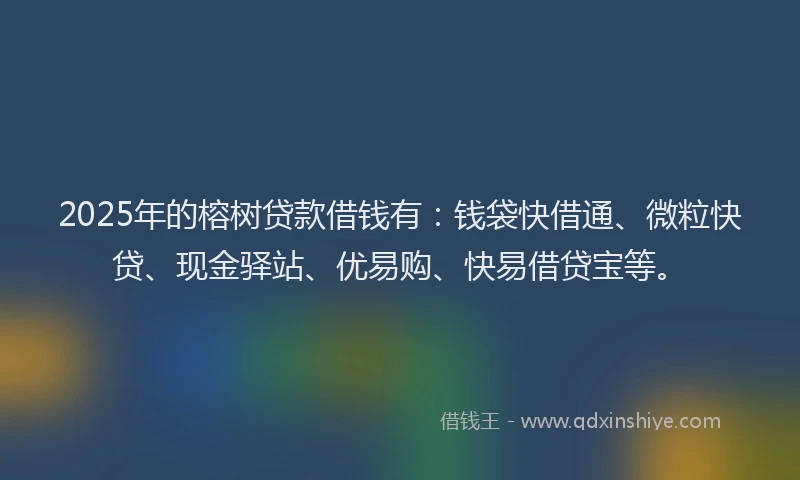 2025年的榕树贷款借钱有：钱袋快借通、微粒快贷、现金驿站、优易购、快易借贷宝等。