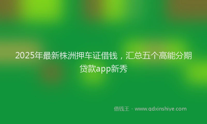 2025年最新株洲押车证借钱，汇总五个高能分期贷款app新秀