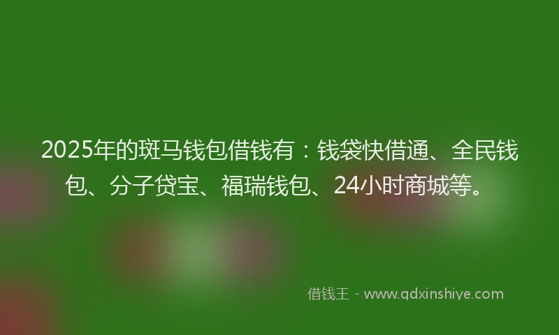 2025年的斑马钱包借钱有：钱袋快借通、全民钱包、分子贷宝、福瑞钱包、24小时商城等。