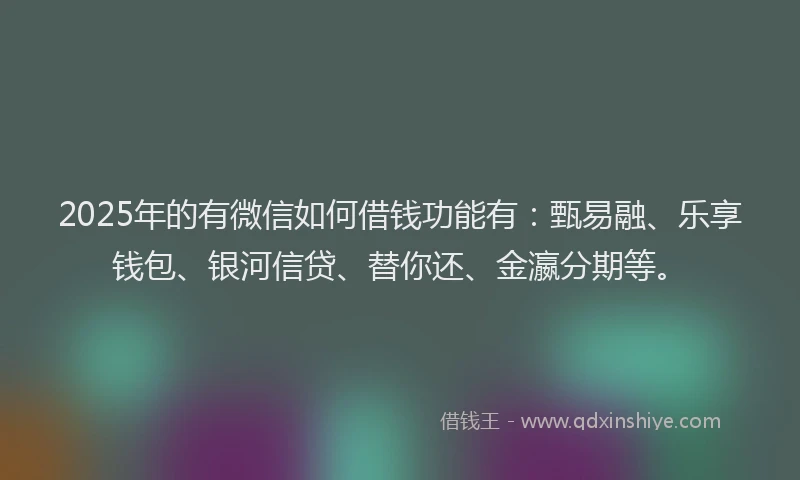 2025年的有微信如何借钱功能有：甄易融、乐享钱包、银河信贷、替你还、金瀛分期等。