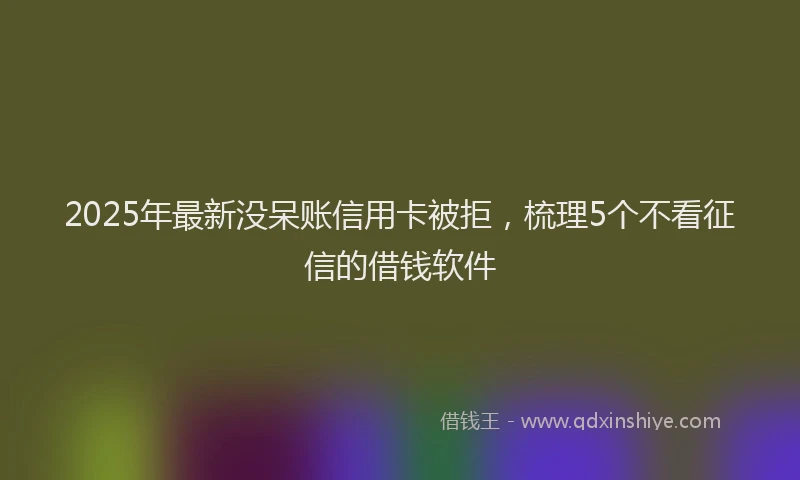 2025年最新没呆账信用卡被拒，梳理5个不看征信的借钱软件