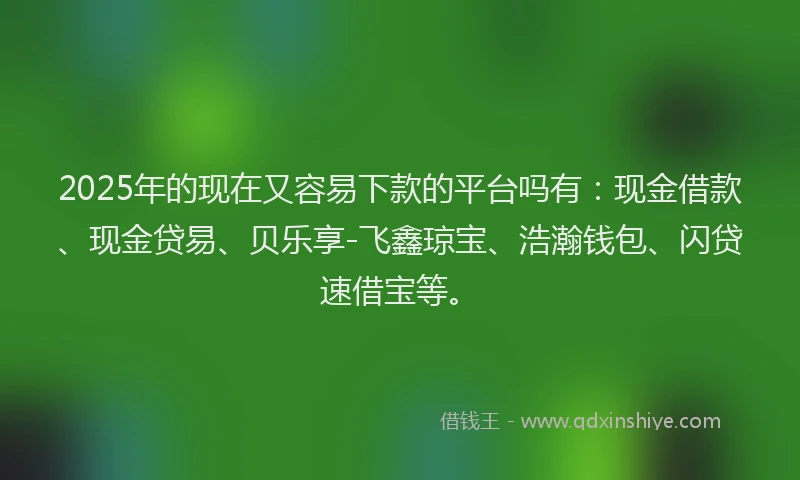 2025年的现在又容易下款的平台吗有：现金借款、现金贷易、贝乐享-飞鑫琼宝、浩瀚钱包、闪贷速借宝等。