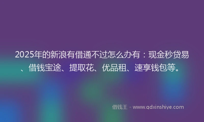 2025年的新浪有借通不过怎么办有：现金秒贷易、借钱宝途、提取花、优品租、速享钱包等。