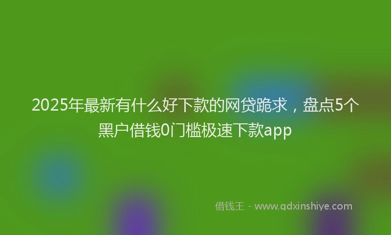 2025年最新有什么好下款的网贷跪求，盘点5个黑户借钱0门槛极速下款app