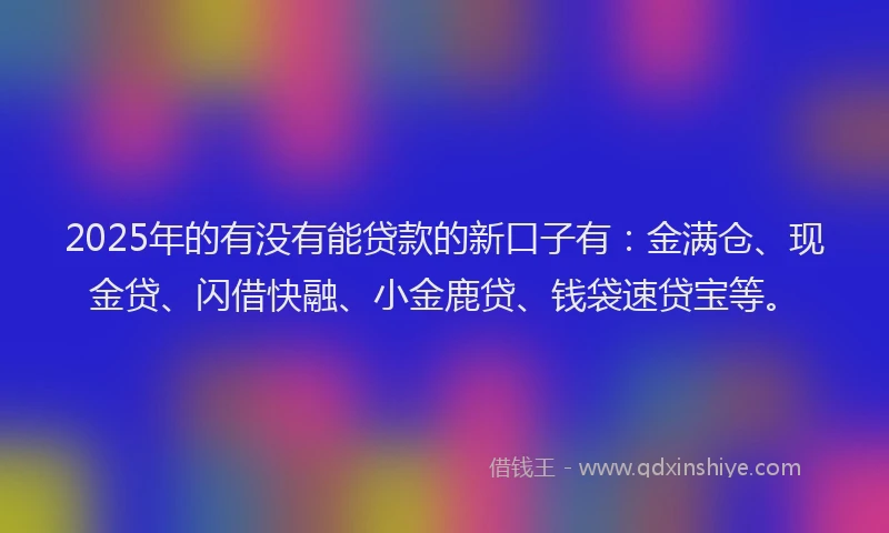 2025年的有没有能贷款的新口子有：金满仓、现金贷、闪借快融、小金鹿贷、钱袋速贷宝等。