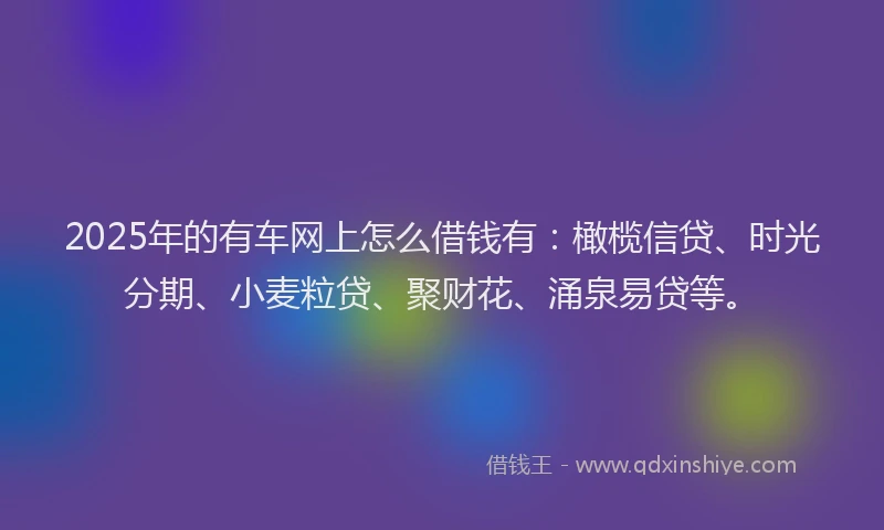 2025年的有车网上怎么借钱有：橄榄信贷、时光分期、小麦粒贷、聚财花、涌泉易贷等。