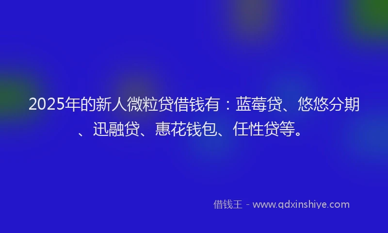 2025年的新人微粒贷借钱有：蓝莓贷、悠悠分期、迅融贷、惠花钱包、任性贷等。