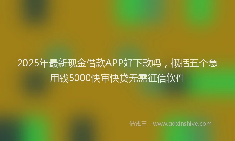 2025年最新现金借款APP好下款吗，概括五个急用钱5000快审快贷无需征信软件