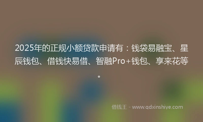2025年的正规小额贷款申请有：钱袋易融宝、星辰钱包、借钱快易借、智融Pro+钱包、享来花等。