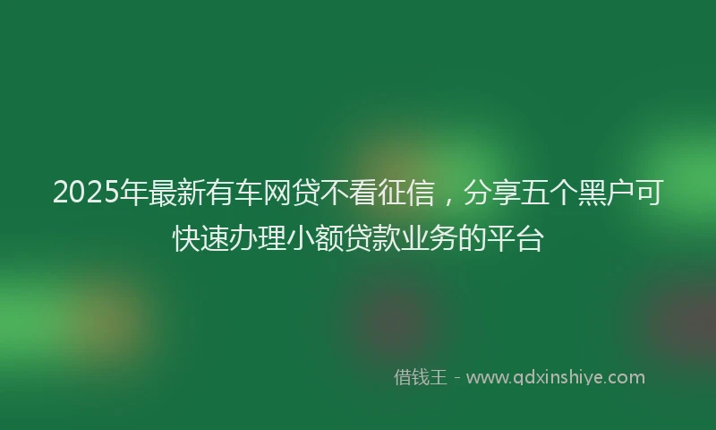 2025年最新有车网贷不看征信，分享五个黑户可快速办理小额贷款业务的平台